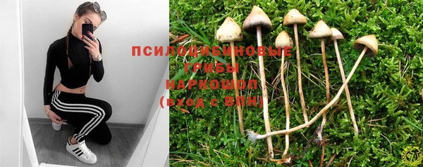 прущие грибы Навашино