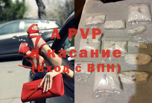 прущие грибы Навашино