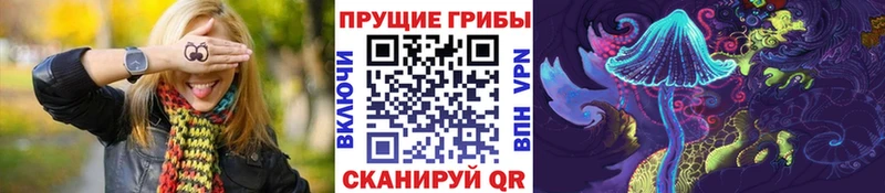 Галлюциногенные грибы Psilocybine cubensis  блэк спрут сайт  Нолинск  закладка 