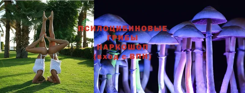 Псилоцибиновые грибы MAGIC MUSHROOMS Нолинск